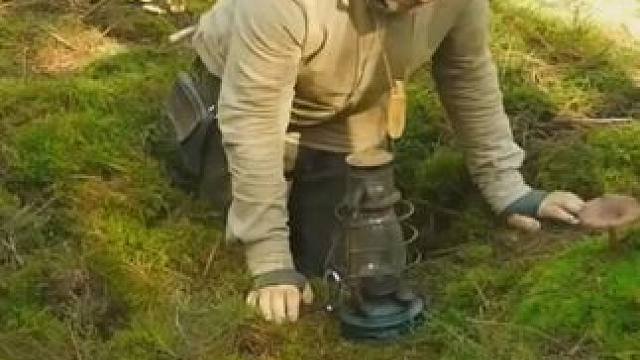 就算用八倍镜，也发现不了这个隐秘的庇护所 #野外建造 #庇护所 #野外生存 #纪录片