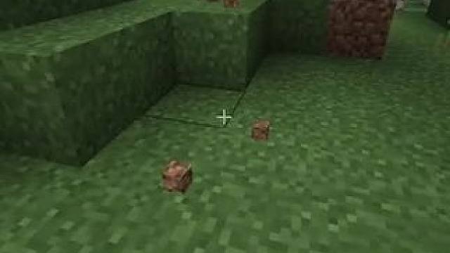 主页有我的世界手机版宝可梦 #我的世界 #我的世界版本连更