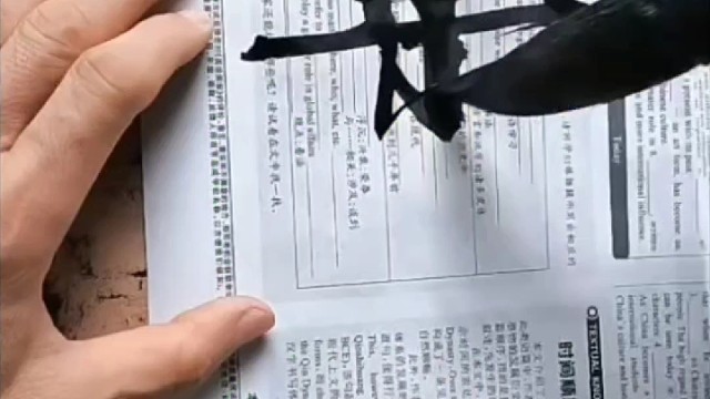 书法零基础临摹哪种书体才能快速入门 ？