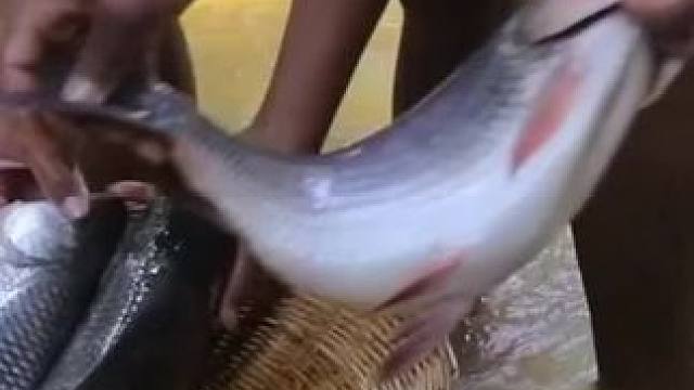 东南亚原始森林美食 #我的乡村生活 #农村生活 #原始美味 #农村美食 #乡村新农人