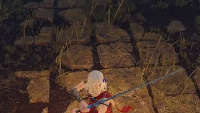 法杖中最好的刺剑，刺剑中最好的法杖 #艾尔登法环 #黄金树之影 #游戏内容风向标 #游戏日常分享 卡