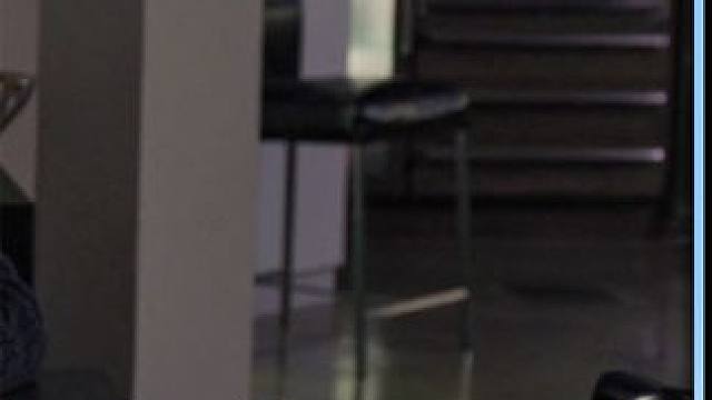 男人养了6只企鹅当宠物，别人遛猫遛狗，他却出门遛企鹅 #电影解说