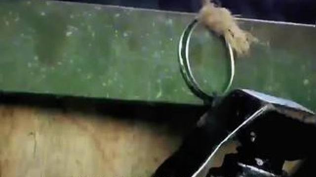 下载《西瓜视频》，免费观看精彩后续/精彩海量免费短剧免费看！ #因为一个片段看了整部剧