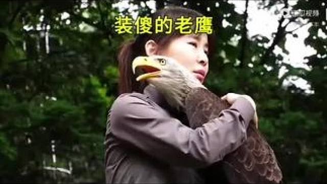 #关注我每天分享不同的故事