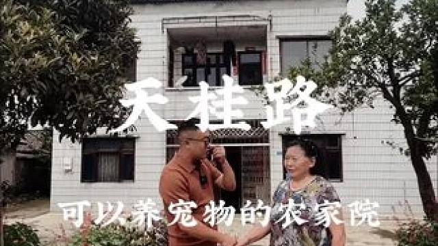 天桂路，适合做宠物的院子#乡村振兴 #农村生活 #旧房改造 #农家小院 #亨哥旧房改造
