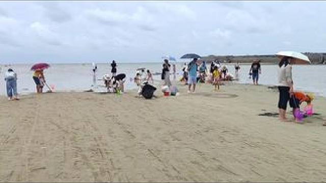 红树林挖螺基地喔咬定青山不放松，立根原在破岩中——《竹石》#赶海赶海赶海啦