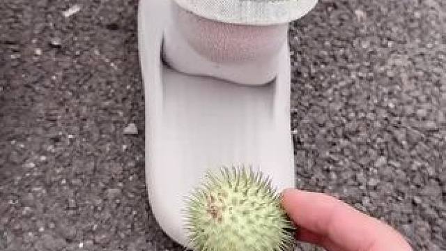 我发布了一个新视频，快来围观吧！