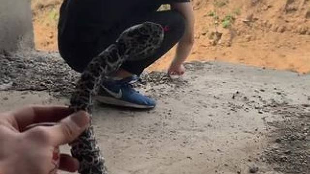 我发布了一个新视频，快来围观吧！