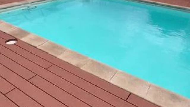 我发布了一个新视频，快来围观吧！