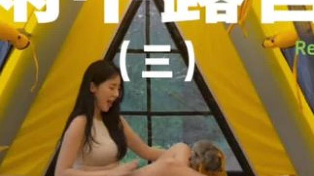 雨中露营（三）#露营⛺ #户外露营 #助眠 #一个人的露营时光 #萌宠