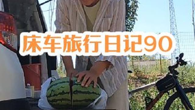 意外停到果园旁，实现西梅自由了！#记录真实生活 #床车旅行 #穷游 #新疆 #露营