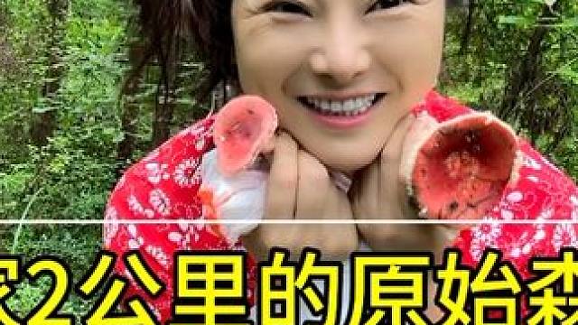 第一次捡五颜六色的菌子，原来家附近有这么多好东西 敢不敢吃，我们都不认识