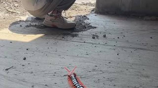 我发布了一个新视频，快来围观吧！