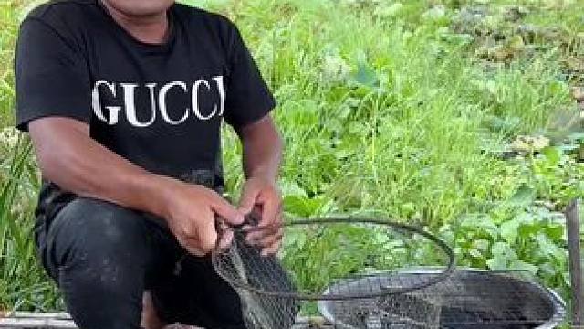 户外抓鱼 #我的乡村生活 #农村生活