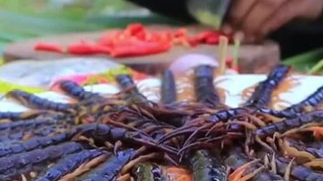 昆虫宴 #农村生活 #我的乡村生活 #原始美味 #农村美食