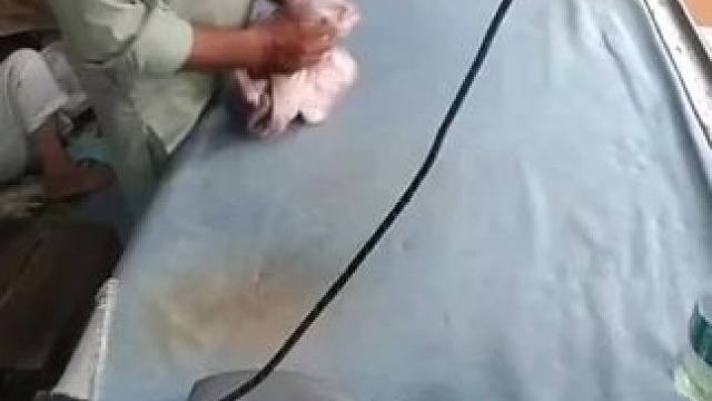 我发布了一个新视频，快来围观吧！