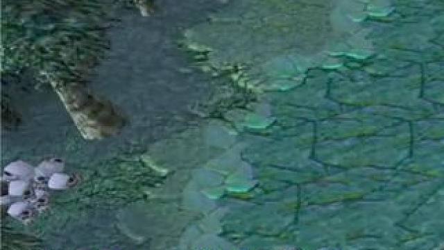 （一）大熊原声大碟，劣单水晶侍女，带四个不成器的队友