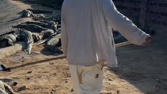 是不是比你家那位甩的都狠……