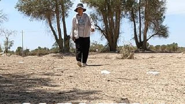 塔克塔克拉玛干！到底有多干！！#穷游 #床车旅行 #新疆 #露营 #塔克塔克拉玛干沙漠