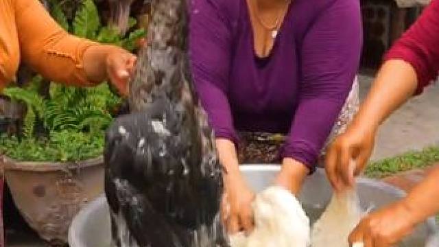 印尼农场主 #乡村美食 #我的农村生活 #我的农场生活 #山居生活 #农家院农家菜农家生活