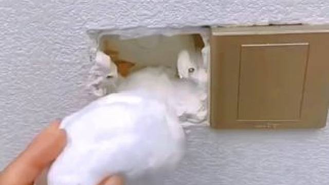 不管是家里的空调洞，还是下水道反臭，都可以用#密封胶泥  填堵，密封效果好#生活好帮手