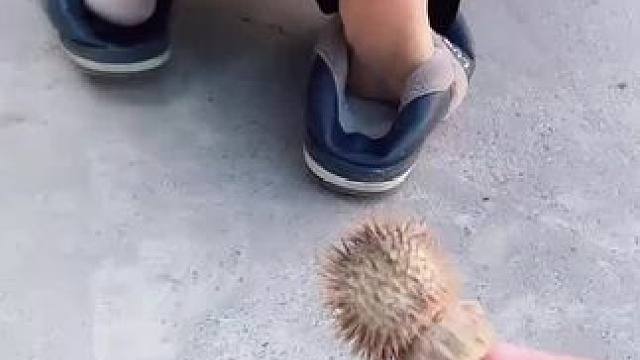 我发布了一个新视频，快来围观吧！