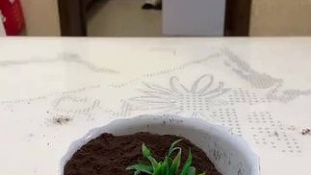 我发布了一个新视频，快来围观吧！