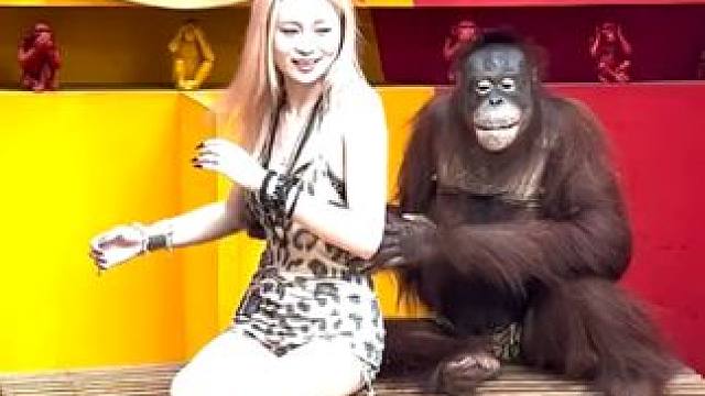 #国外视频分享 #泰国网红猩猩 #猴子成精