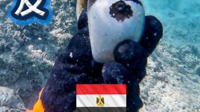 环球旅行  在埃及·荒野求生 #赶海 #渔猎 #交换世界计划 #钓鱼