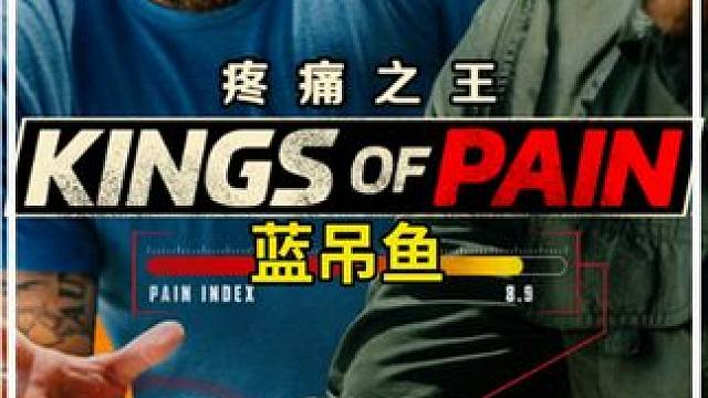 被美丽的蓝吊鱼攻击有多痛？ #疼痛之王 #作死 #纪录片