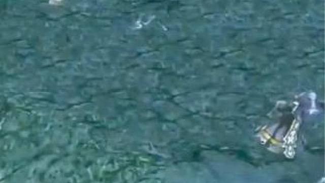 （三）大熊原声大碟，绝活猛犸，无限D