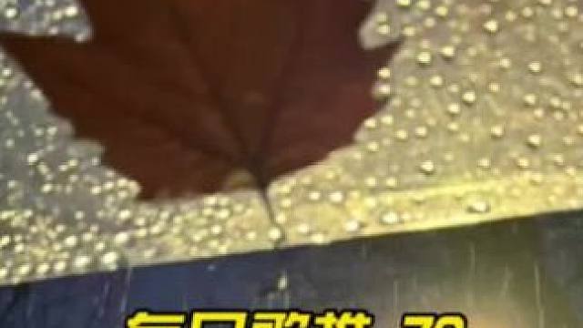 讲真的 困住你的是什么
#音乐#音乐分享#音乐推荐#戴上耳机