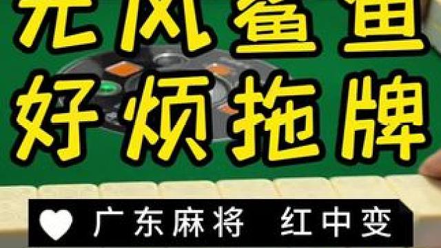 第二把真的好可惜呀…… #麻将治百病 #红中麻将 #广东麻将