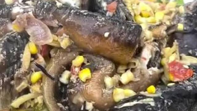 竹筒饭黄鳝鱼食谱 #我的乡村生活 #农村美食 #真材实料才能做出好味道 #山居生活