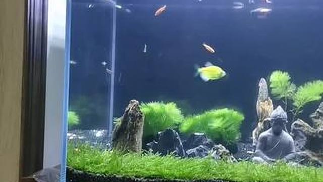 每个人观点不一样！有人喜欢打牌，有人喜欢钓鱼，有人喜欢溜狗，有人喜欢旅游！我行我素，不要用他人的喜好