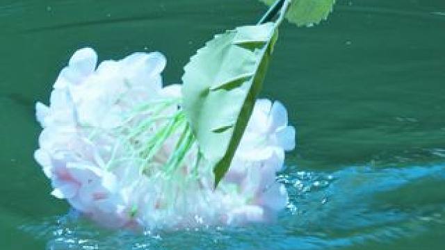 我发布了一个新视频，快来围观吧！