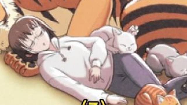 谁能拒绝一碗由老虎手打的拉面。 #拉面赤猫 #治愈 #可爱