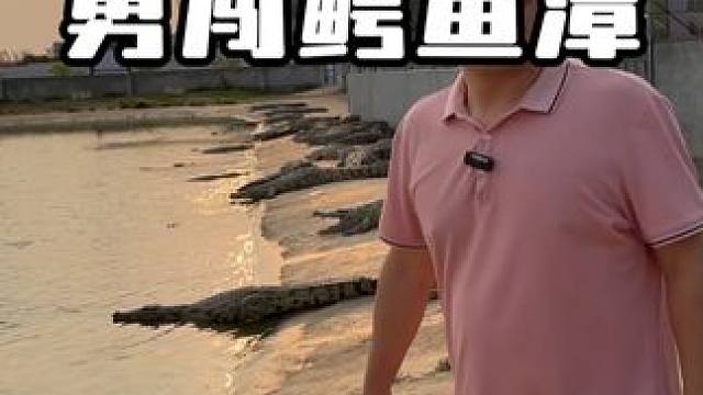 哪位兄弟来挑战一下鳄鱼潭！ #鳄鱼 #鳄珍