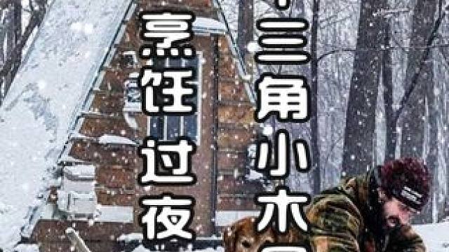 大雪中三角小木屋露营  烹饪 过夜 #雪中露营 #野外生存 #户外露营 #荒野生存 #荒野独居