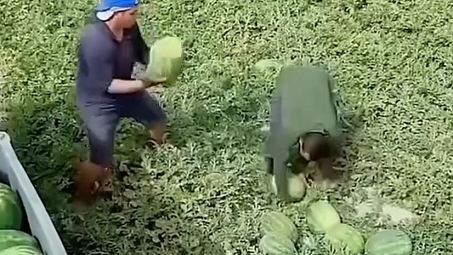 农民工，太熟练了[玫瑰][玫瑰][赞][赞][赞][赞]