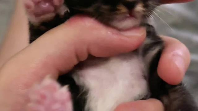 这可是我一把屎一把尿带大的宝宝呀