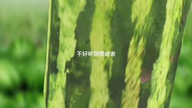 #duvet 让我一次吧。。。