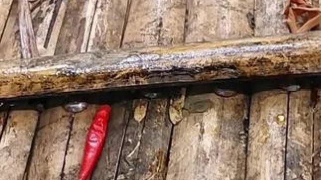 东南亚原始美味 #农村柴火灶 #农村生活 #我的乡村生活 #农村美食 #原始美味