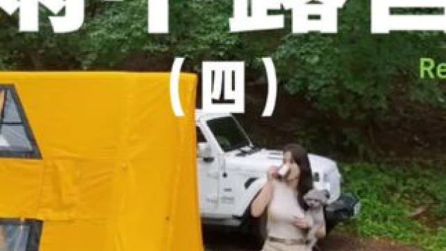 雨中露营（四）#露营⛺ #户外露营 #助眠 #一个人的露营时光 #萌宠