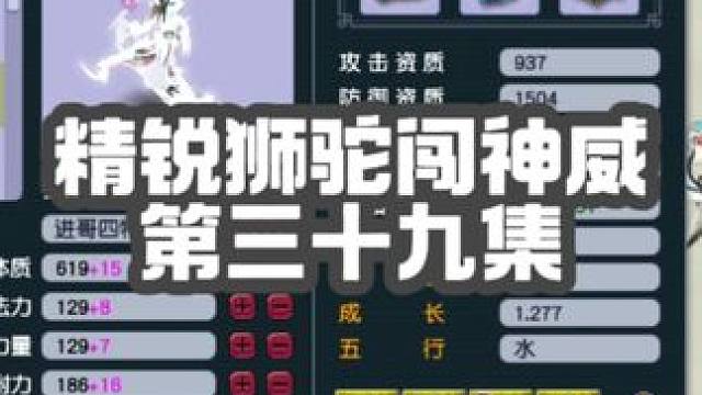 神威第一天宫展示还一起上分，冲击第一狮驼，偶遇冠军夕阳红战队