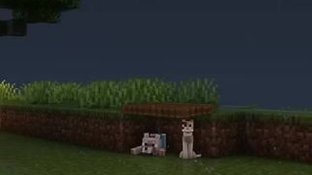 主页有我的世界手机版宝可梦 #我的世界 #我的世界版本连更