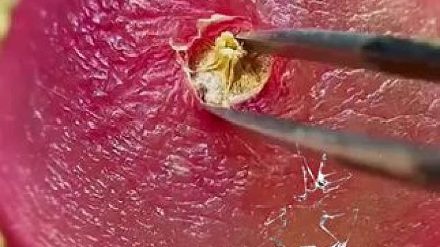 永劫无间手游公测~