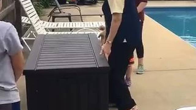 我发布了一个新视频，快来围观吧！