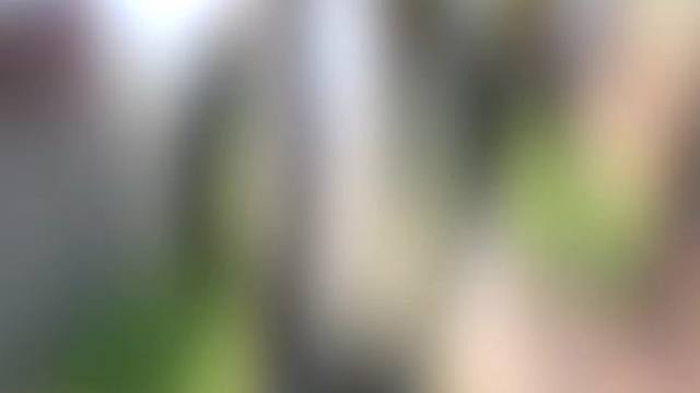 mg42都这么弱了，还要削弱？#codm