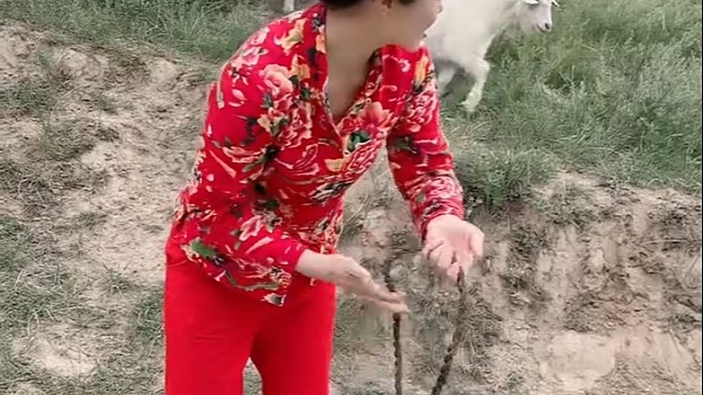 娱乐劳动两不误[赞]加油